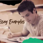 Best Essay Examples