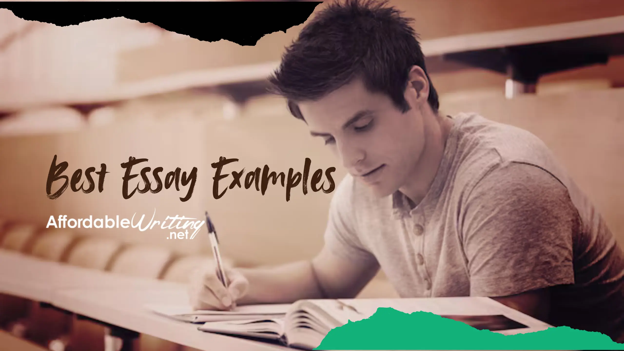 Best Essay Examples
